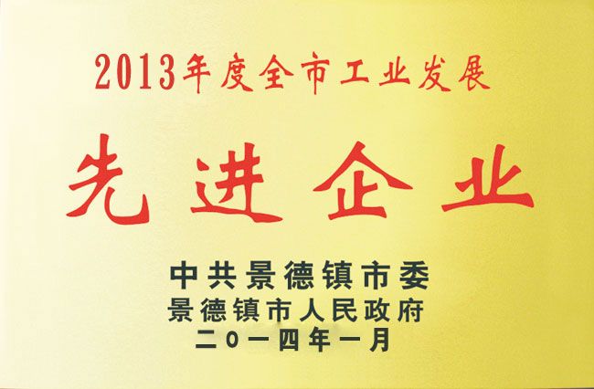 2013年度全市工業(yè)發(fā)展先進企業(yè)